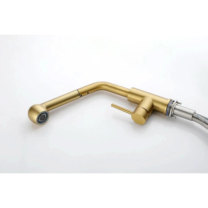 Single Handle Kitchen Sink Faucet with Pull Out Sprayer- DTY Store