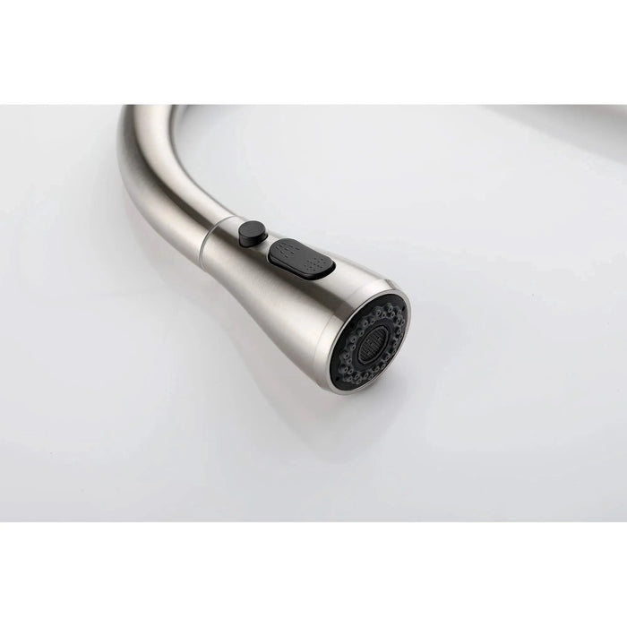 Single Handle Kitchen Sink Faucet with Pull Out Sprayer Default -DTYStore