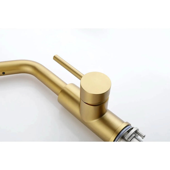 Single Handle Kitchen Sink Faucet with Pull Out Sprayer - DTY Store