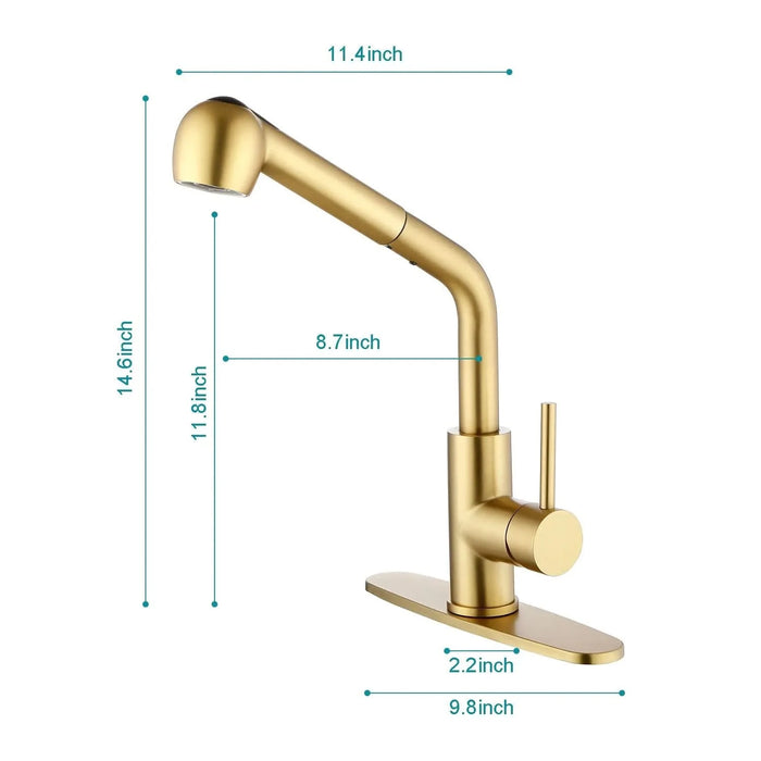 Single Handle Kitchen Sink Faucet with Pull Out Sprayer - DTY Store