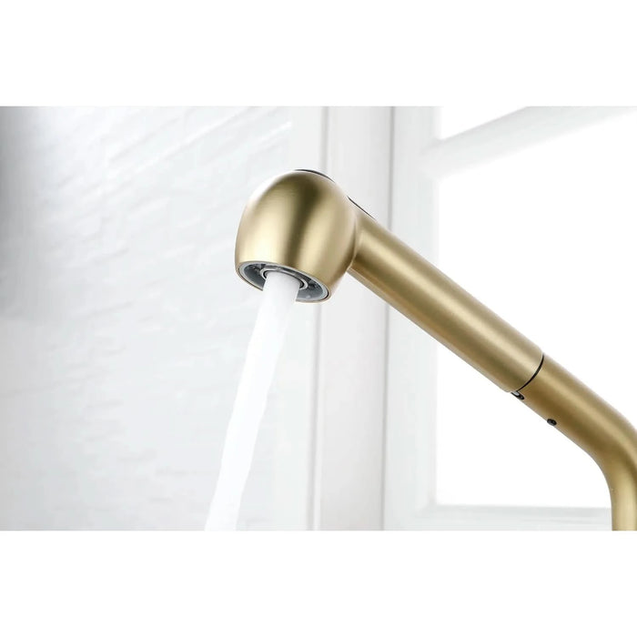 Single Handle Kitchen Sink Faucet with Pull Out Sprayer - DTY Store