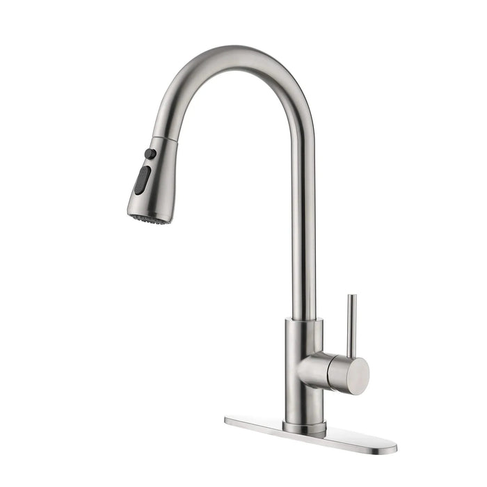 Single Handle Kitchen Sink Faucet with Pull Out Sprayer Default -DTYStore