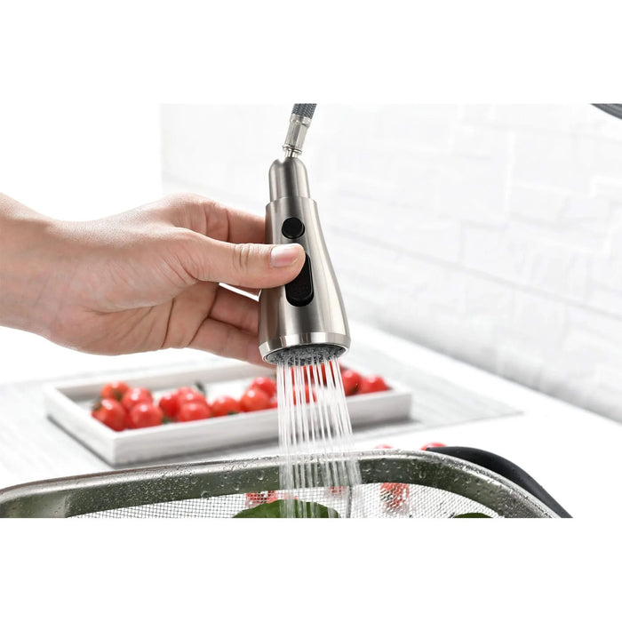 Single Handle Kitchen Sink Faucet with Pull Out Sprayer Default -DTYStore
