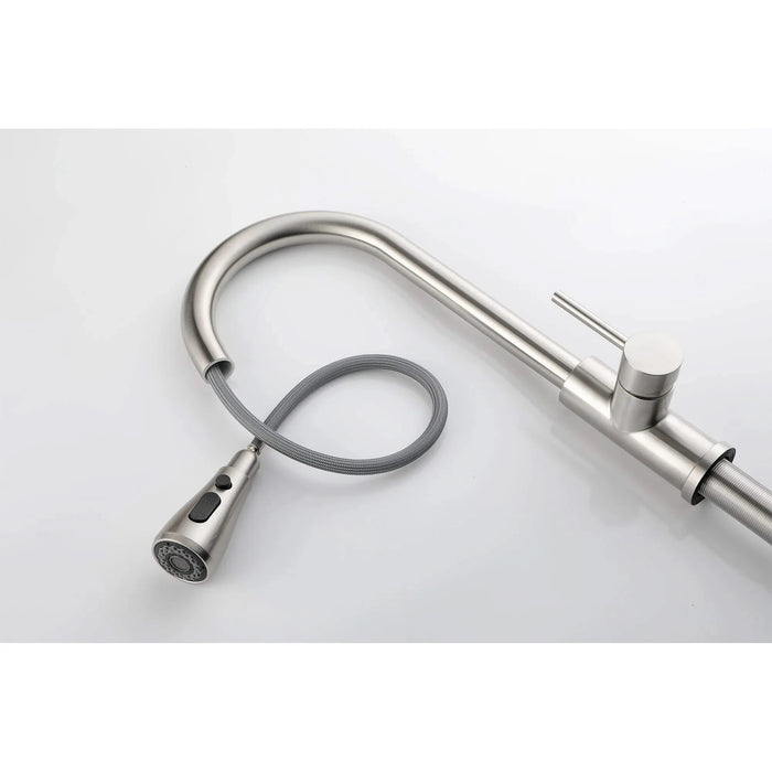 Single Handle Kitchen Sink Faucet with Pull Out Sprayer Default -DTYStore