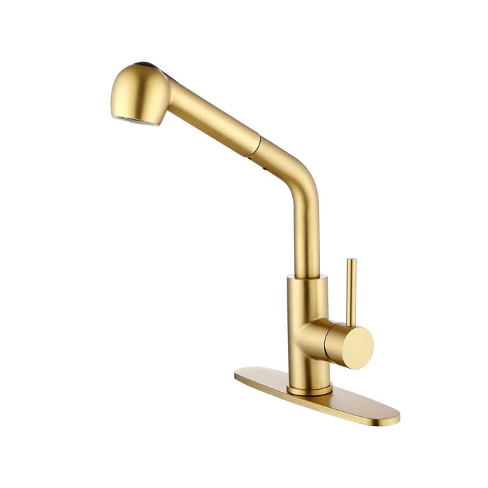 Single Handle Kitchen Sink Faucet with Pull Out Sprayer - DTY Store