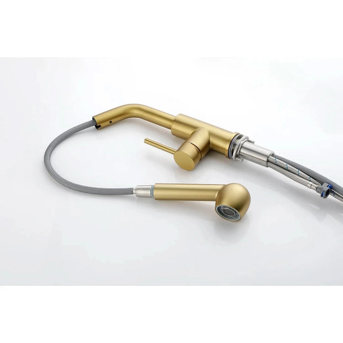 Single Handle Kitchen Sink Faucet with Pull Out Sprayer - DTY Store