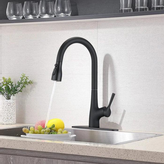 Single Handle Pull Down Kitchen Sink Faucet Matte Black - DTY Store