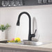 Single Handle Pull Down Kitchen Sink Faucet Matte Black - DTY Store