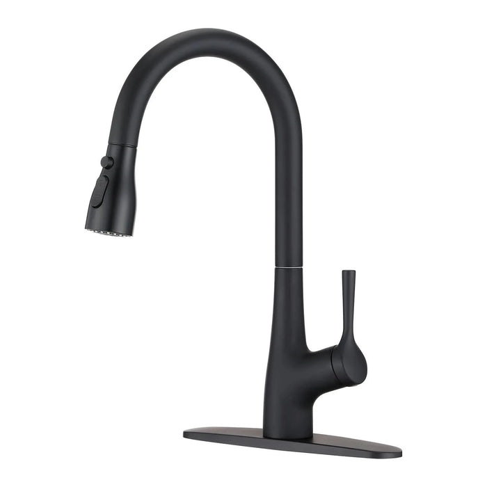 Single Handle Pull Down Kitchen Sink Faucet Matte Black - DTY Store