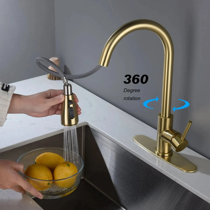 Single Handle Stainless Steel Kitchen Sink Faucet with Pull Down Sprayer - DTY Store