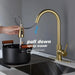Single Handle Stainless Steel Kitchen Sink Faucet with Pull Down Sprayer - DTY Store