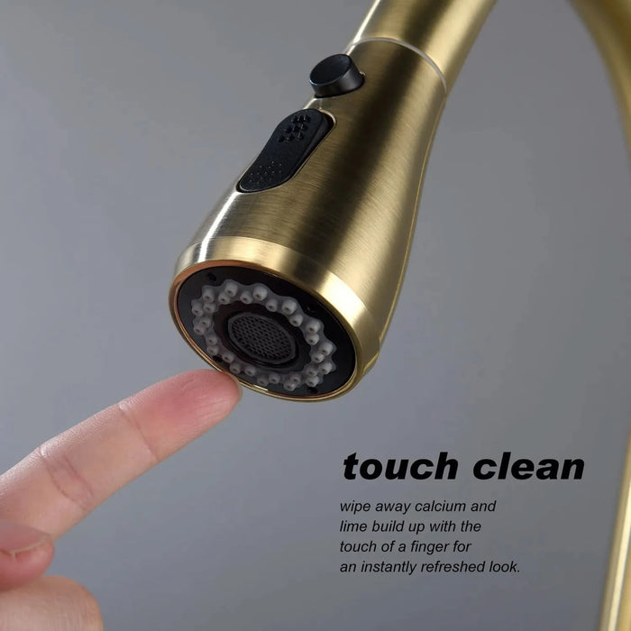 Single Handle Stainless Steel Kitchen Sink Faucet with Pull Down Sprayer - DTY Store