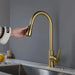 Single Handle Stainless Steel Kitchen Sink Faucet with Pull Down Sprayer- DTY Store