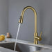 Single Handle Stainless Steel Kitchen Sink Faucet with Pull Down Sprayer - DTY Store