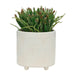TEXTURED PLANTER W/ STAND AND TEXTURED PLANTERS SET - MODERN HOME GARDEN ACCENTS White 5" -DTYStore