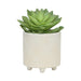 TEXTURED PLANTER W/ STAND AND TEXTURED PLANTERS SET - MODERN HOME GARDEN ACCENTS White 5" -DTYStore