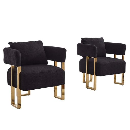 TS Modern Decorative Chair, Side Chair with Gold Metal Legs, Teddy Fleece Upholstered, Black, 2PCS Set Default -DTYStore