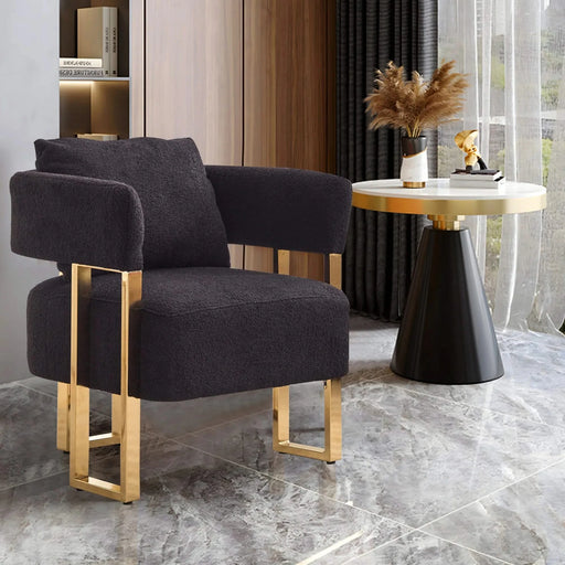 TS Modern Decorative Chair, Side Chair with Gold Metal Legs, Teddy Fleece Upholstered, Black, 2PCS Set Default -DTYStore