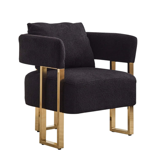 TS Modern Decorative Chair, Side Chair with Gold Metal Legs, Teddy Fleece Upholstered, Black, 2PCS Set Default -DTYStore