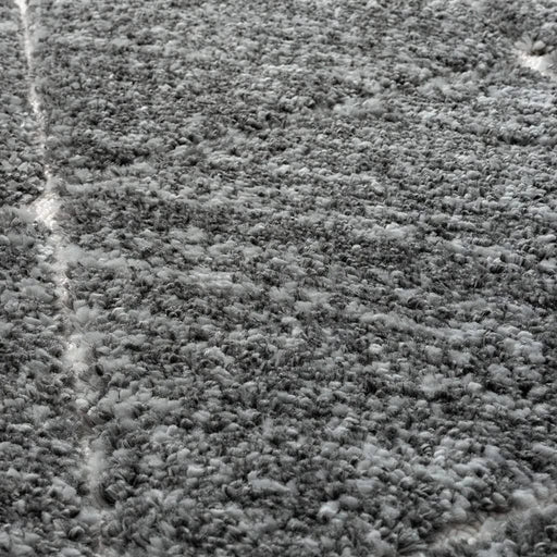 Talas Trellis Area Rug in Grey and Cream Default -DTYStore