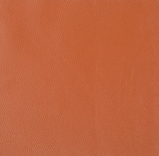 Top Grain Italian Leather Sofa Default -DTYStore