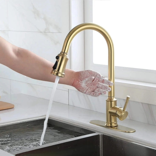 Touch Kitchen Faucet with Pull Down Sprayer Default -DTYStore