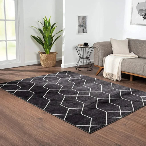 Trellis Geometric Woven Area Rug Default -DTYStore
