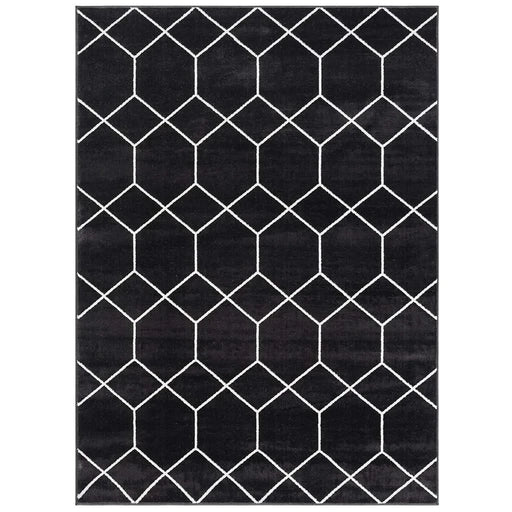 Trellis Geometric Woven Area Rug Default -DTYStore