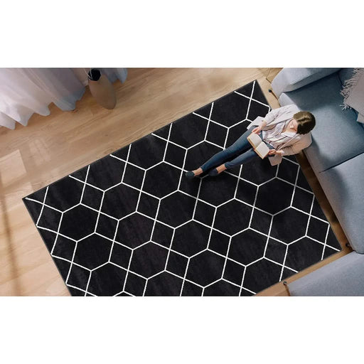 Trellis Geometric Woven Area Rug Default -DTYStore