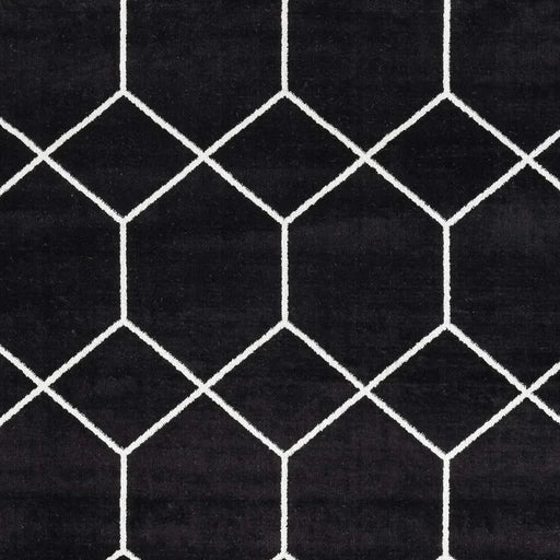 Trellis Geometric Woven Area Rug Default -DTYStore