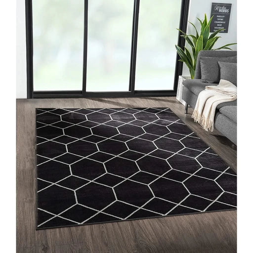 Trellis Geometric Woven Area Rug Default -DTYStore