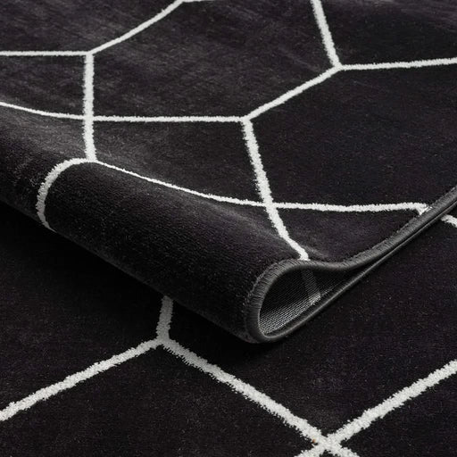 Trellis Geometric Woven Area Rug Default -DTYStore