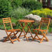Twin Lakes Eucalyptus Outdoor 3-Piece Café Bistro Set -DTYStore