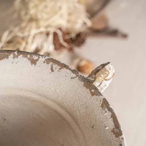 Vintage Double-Handled Flower Pot for Timeless Home Décor, Ideal for Showcasing Plants and Adding Charm to Your Space Default -DTYStore