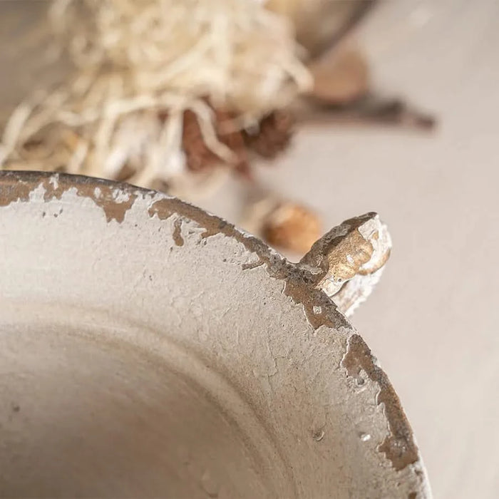 Vintage Double-Handled Flower Pot for Timeless Home Décor, Ideal for Showcasing Plants and Adding Charm to Your Space Default -DTYStore