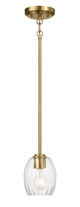 Vista Single Pendant Chain Hanging Light with Clear Glass - Satin Brass Default -DTYStore