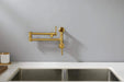 Wall mounted Pot Filler Faucet, Modern Brass Pot Filler Two-Attachment Wall Mount Folding Kitchen Pot Filler Swing Arm Default -DTYStore