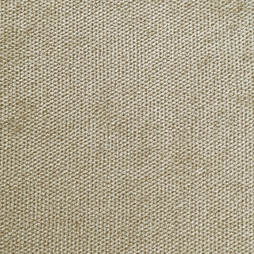 Willene Polished Microfiber Beige Side Chair (Set of 2) Default -DTYStore