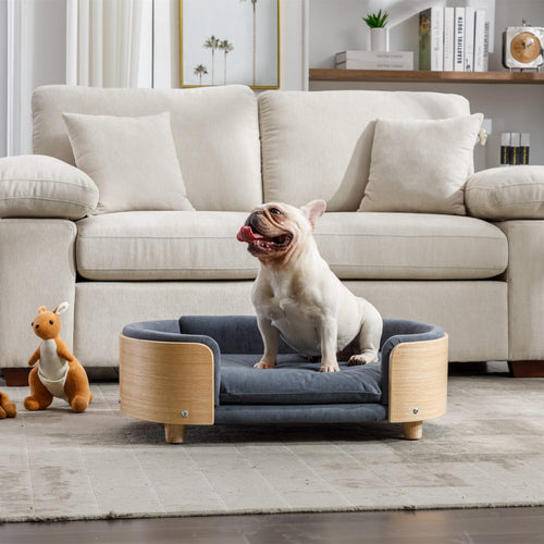 Scandinavian style Elevated Dog Bed Pet Sofa With Solid Wood legs and Bent Wood Back, Velvet Cushion,Mid Size,Dark Grey - Image 1