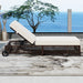 Outdoor Lounge Chair Set of 2, Patio Chaise Lounge with 5-Position Backrest, Rattan Outdoor Lounge Chair with Cushion and Wheels for Poolside, Backyard, Garden (Brown+Beige) - DTYStore