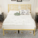 Metal Steel Platform Bed Frame with Iron-art Headboard (Queen Size) - Gold - DTYStore