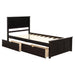 Platform Storage Bed, 2 drawers with wheels, Twin Size Frame, Espresso - DTYStore