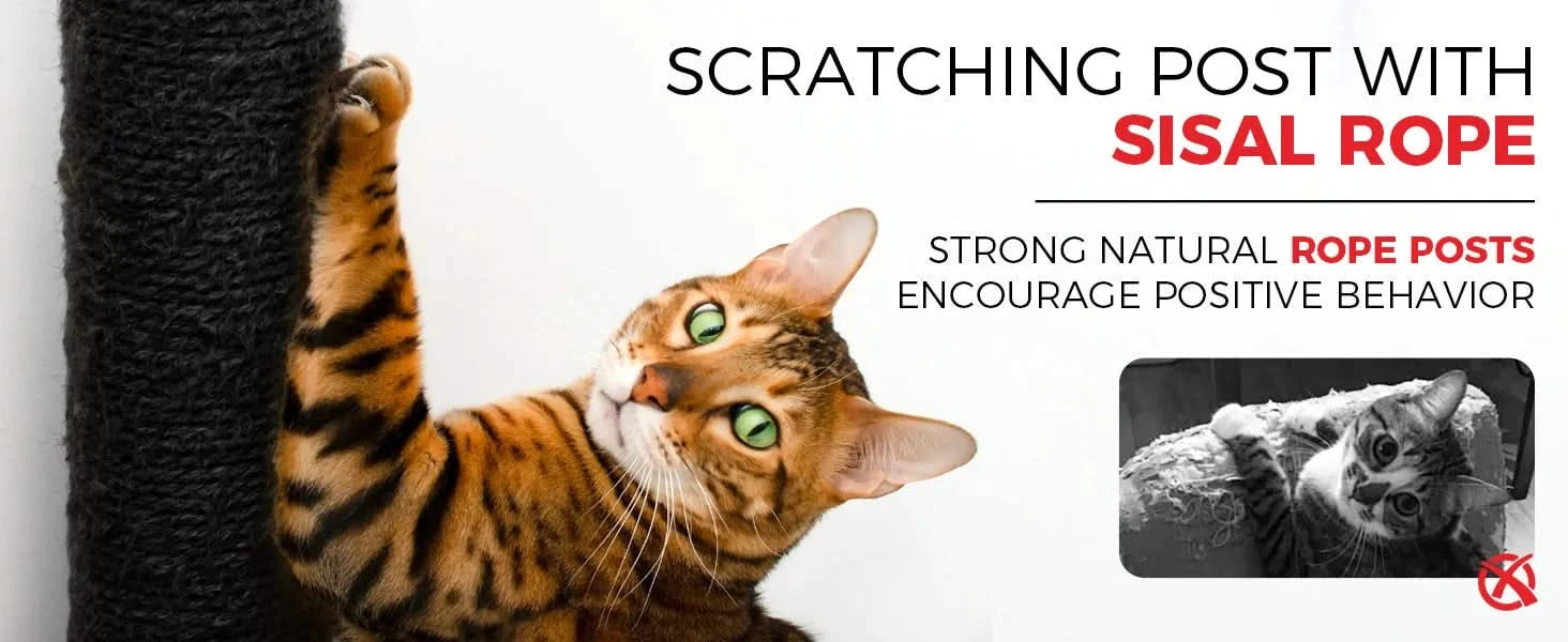 black gothic cat tree Default -DTYStore