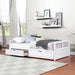 Wooden Daybed with Trundle Bed and Two Storage Drawers, Extendable Sofa Bed for Living Room - DTYStore