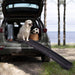 Portable Foldable Pet Ramp Climbing Ladder Suitable for Off-road Vehicle Trucks - Black - DTYStore