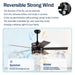 52-inch 5-blade Lighted Ceiling Fan with Remote Control , Glass Shade (Optional Remote) --Matte Black - DTYStore