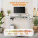 Electric Height Adjustable Standing Desk,Sit to Stand Ergonomic Computer Desk,White,40'' x 24" - DTYStore