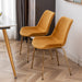 Aufurr Modern Velvet Dining Chair, Set of 2, Gold - DTYStore