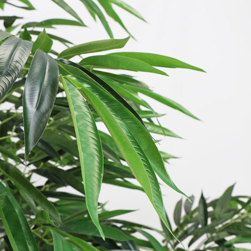 7FT Artificial willow Tree, Indoor Faux slik Greenery Plant for Home, Apartment, or Office Decoration, 1pc/set - Image 6