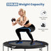 40' Foldable Mini Trampoline for Adults, Trampoline for Adults with Adjustable Bar - DTYStore